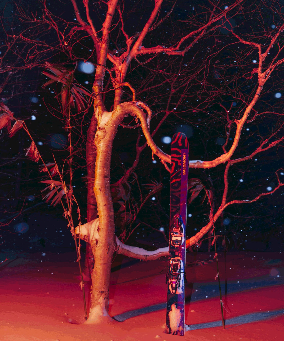S/LAB QST X Alpine Skis - Freeride - Unisex | Salomon Essential