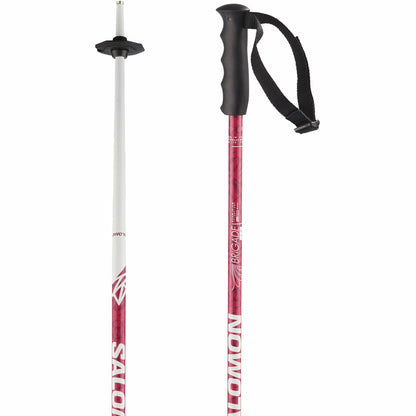 BRIGADE Alpine poles - Junior | Salomon Classic