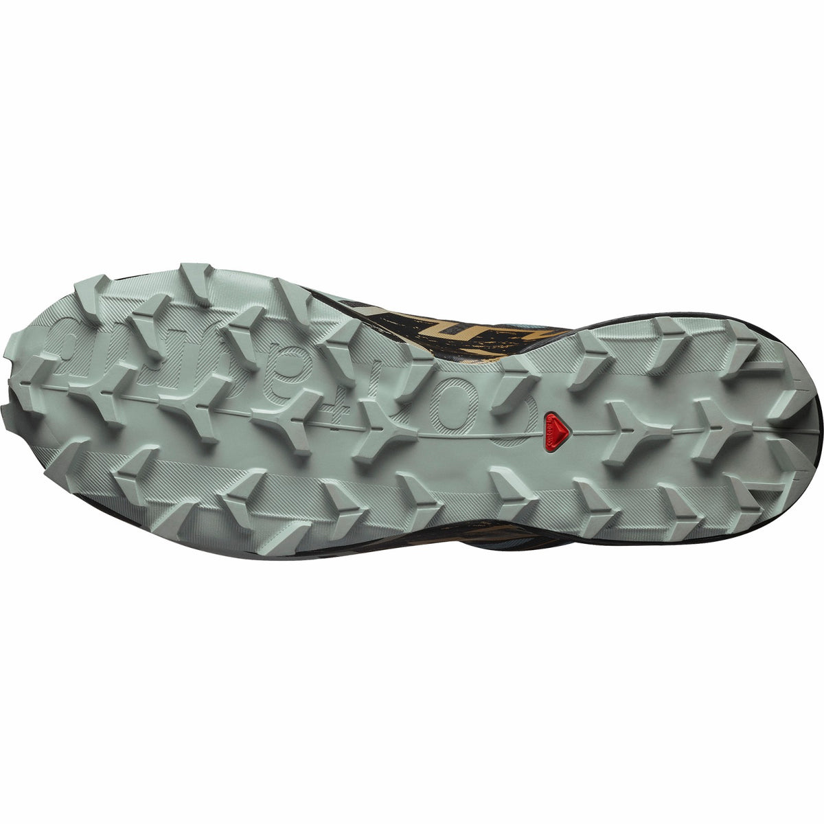 SPEEDCROSS 6 GORE-TEX Blue | Salomon Latest