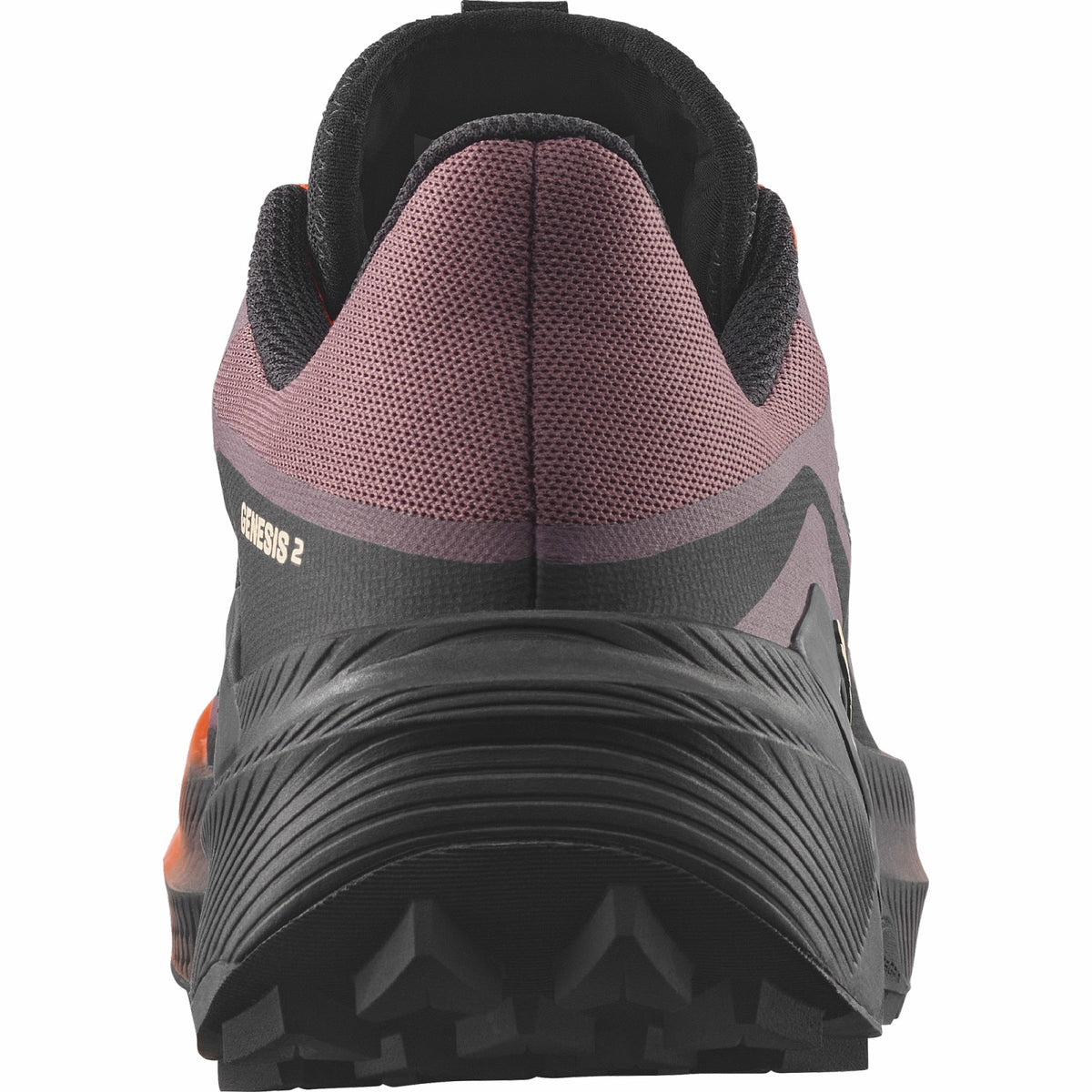 GENESIS 2 Grey | Salomon Essential