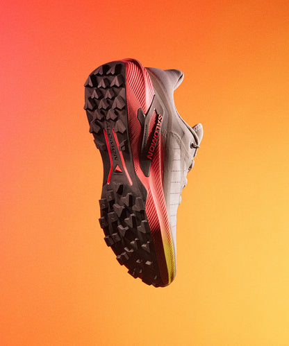GENESIS 2 Grey | Salomon Great Value