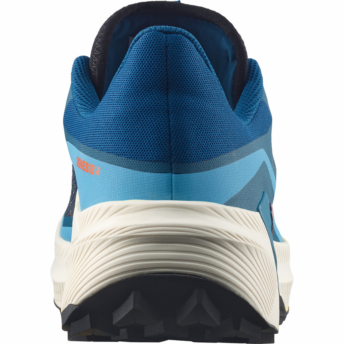 GENESIS 2 Blue | Salomon Latest