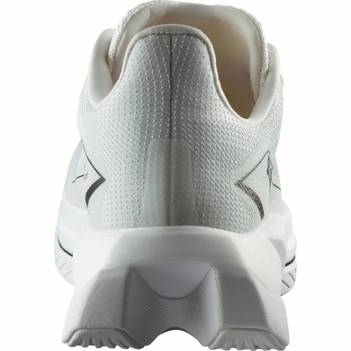S/LAB SPECTUR Road running shoes - Unisex | Salomon Essential