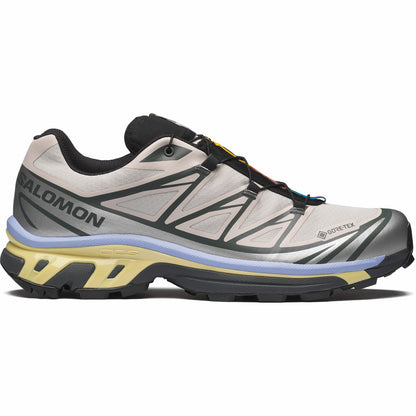 XT-6 GORE-TEX Grey | Salomon Signature