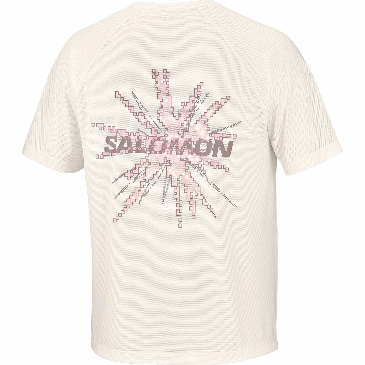 SHAKEout CORE GRAPHIC Men's Short Sleeve T-Shirt | Salomon Great Value