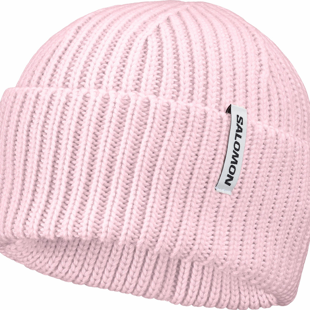 SNOWBIRD Unisex Beanie | Salomon Signature