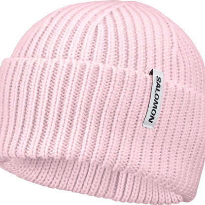 SNOWBIRD Unisex Beanie | Salomon Signature