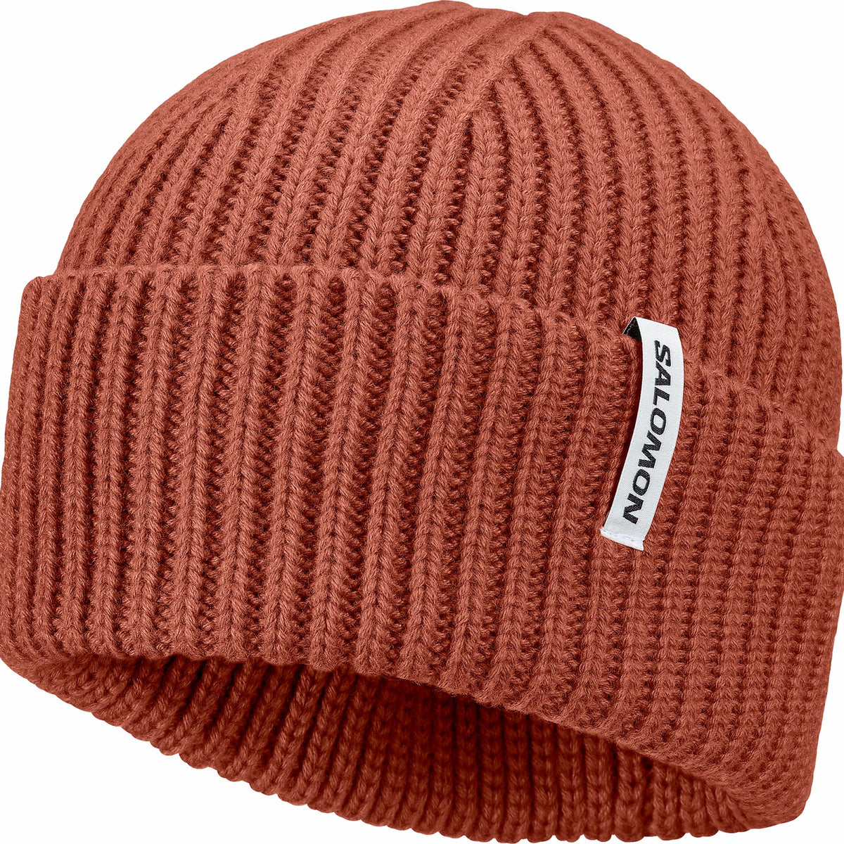 SNOWBIRD Unisex Beanie | Salomon Signature
