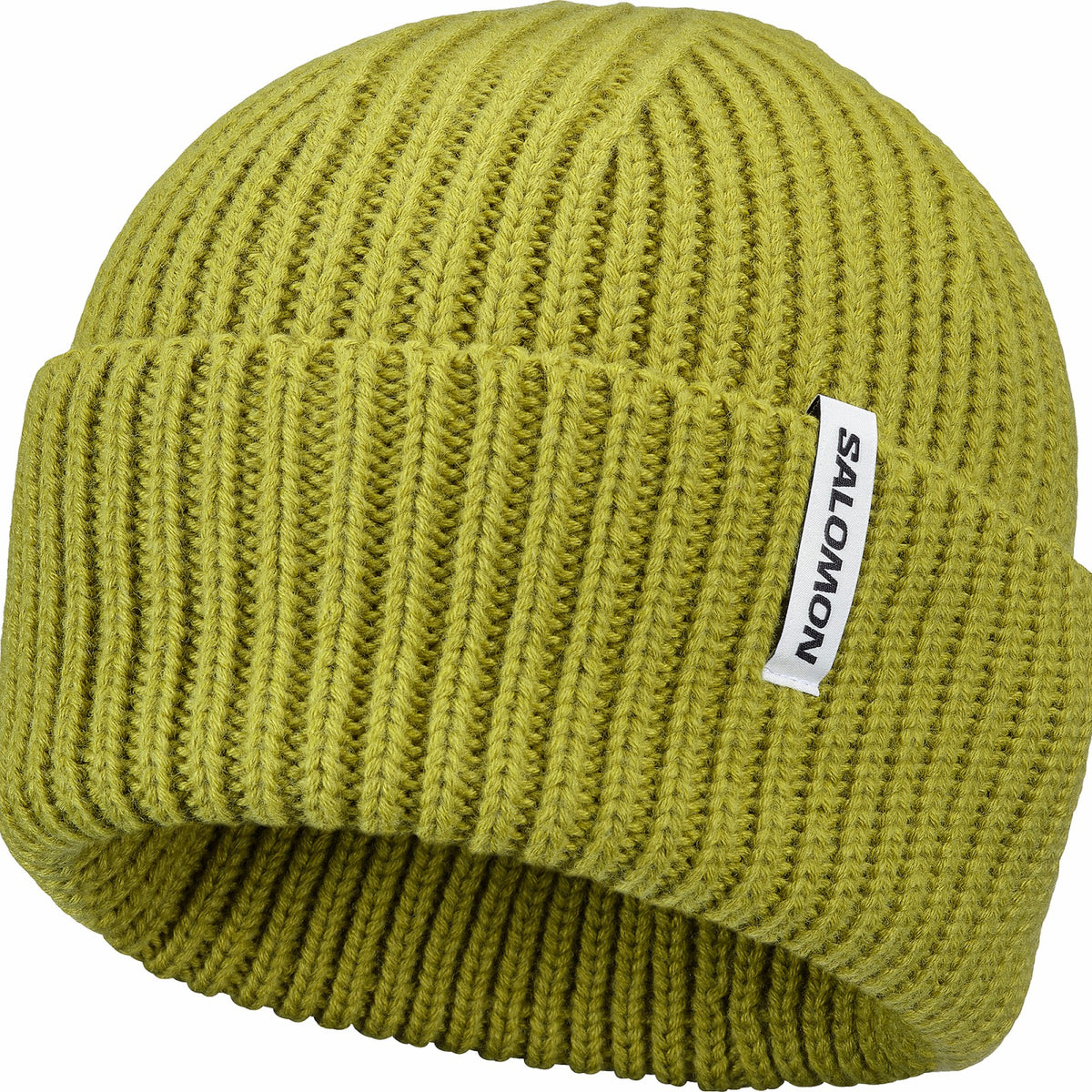 SNOWBIRD Unisex Beanie | Salomon Signature