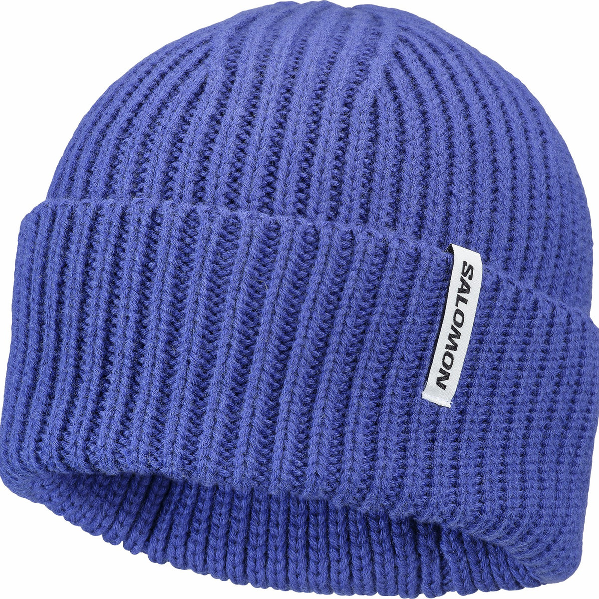 SNOWBIRD Unisex Beanie | Salomon Signature