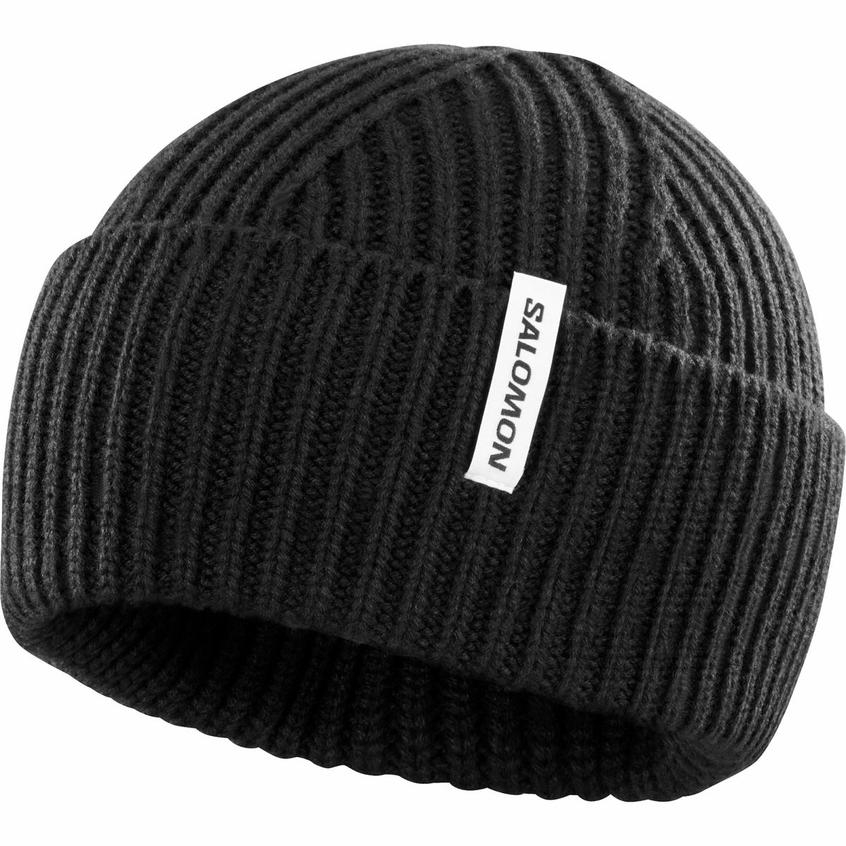 SNOWBIRD Unisex Beanie | Salomon Signature