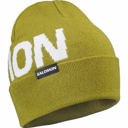 HERMITAGE Unisex Beanie | Salomon Great Value
