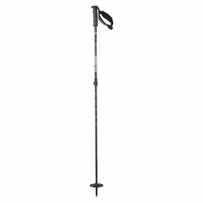 STEEP VARIO S3 Alpine poles - Unisex | Salomon Latest