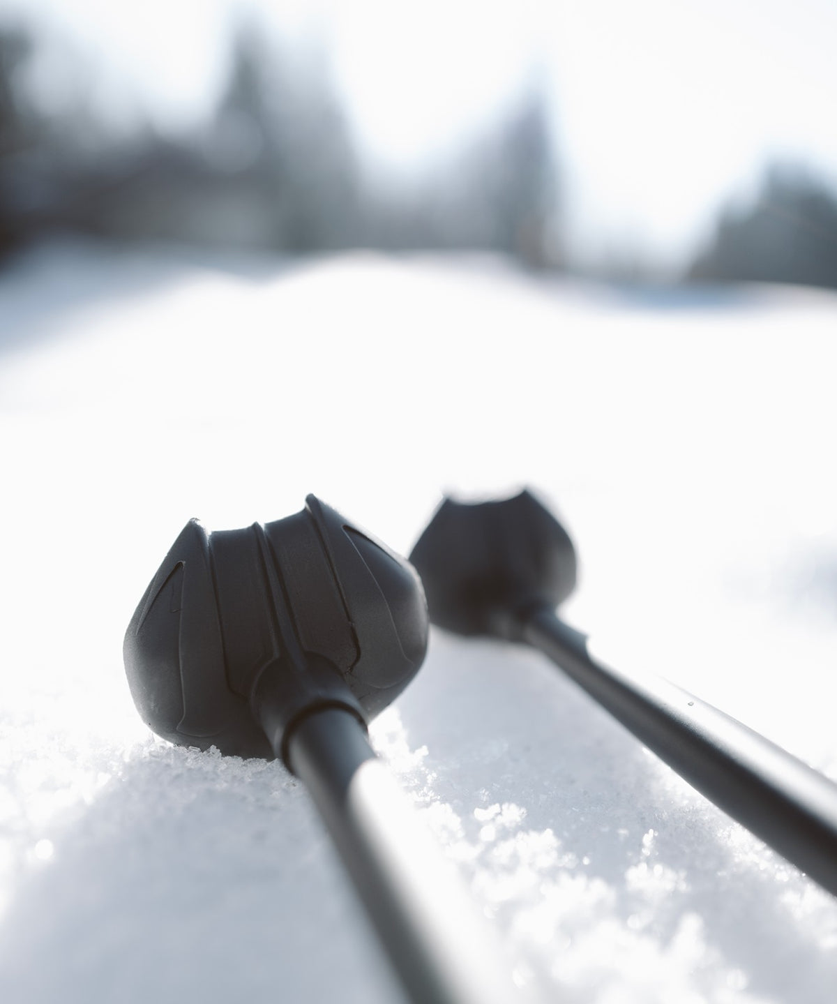 S/MAX CARBON CLICK Nordic poles - Unisex | Salomon Signature